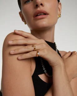 Anillos Básicos|Anillos De Oro-PDPAOLA Anillo Berlin