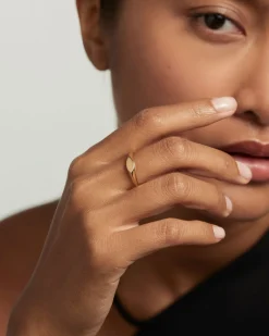 Anillos Sello|Anillos Básicos-PDPAOLA Anillo Sello Duke